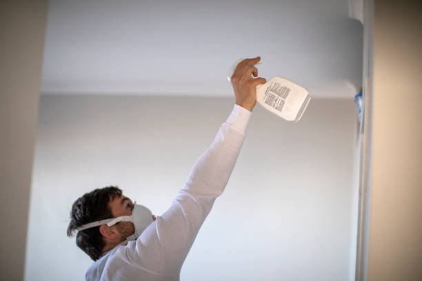 Best Mold Removal Near Me  in Southwest Greensburg, PA