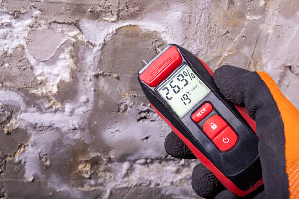 Mold Testing and Removal in Southwest Greensburg, PA