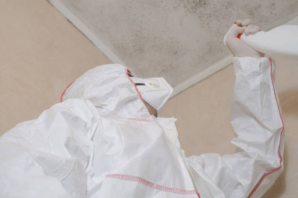 Best Emergency Mold Removal  in Southwest Greensburg, PA